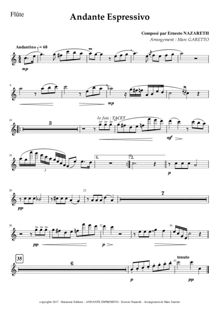 Andante Espressivo - Ernesto NAZARETH - for Chamber Orchestra (arr. Marc GARETTO)