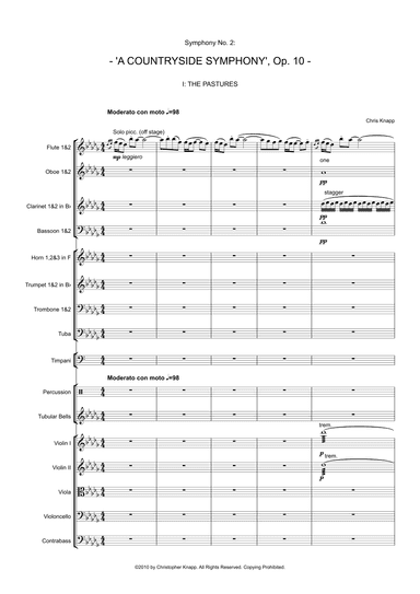 Symphony No. 2: A Countryside Symphony, Op. 10