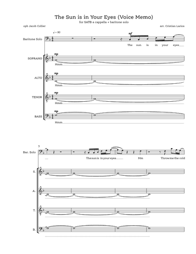 The Sun Is In Your Eyes (voice Memo) (arr. Cristian Larios)