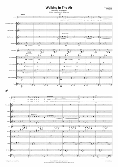 Walking In The Air (arr. Jim Davies)