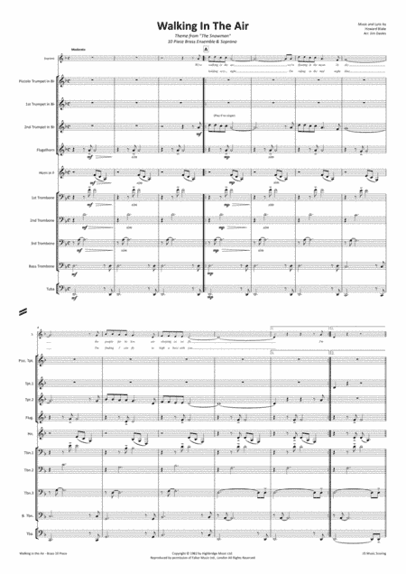 Walking In The Air (arr. Jim Davies)