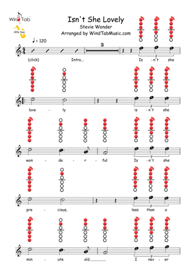 Isn't She Lovely (arr. WindTab)