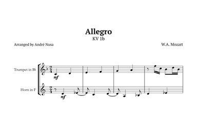 Allegro K1b (arr. André Nusa)