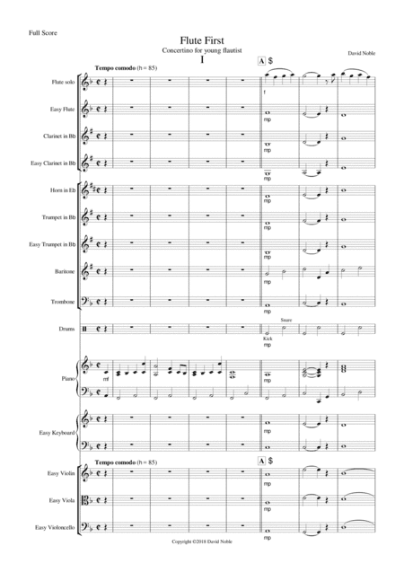 Flute First - Concertino for Young Flautist