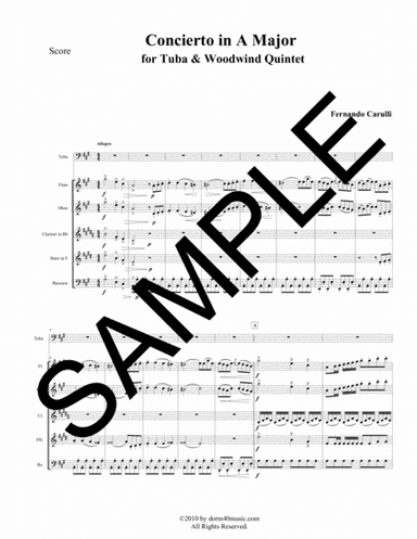 Concierto in A Major for Tuba and Woodwind Quintet (arr. Dorm 40 Music)