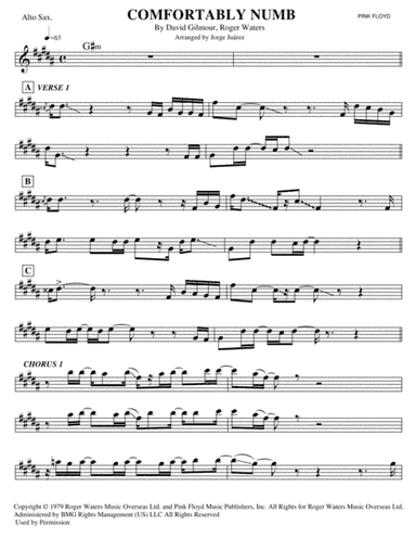 Comfortably Numb (arr. Jorge Juárez)