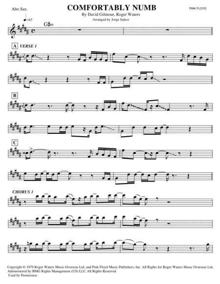Comfortably Numb (arr. Jorge Juárez)