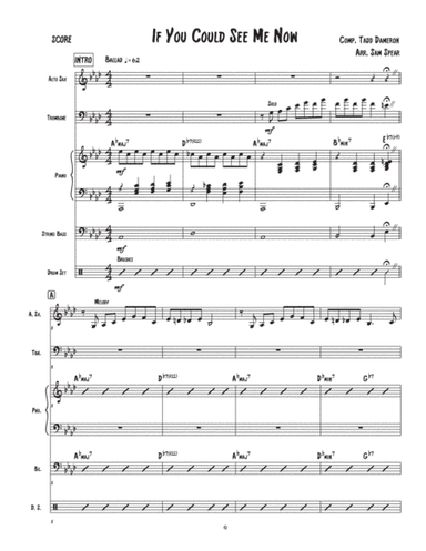 If You Could See Me Now (arr. Samantha Spear)