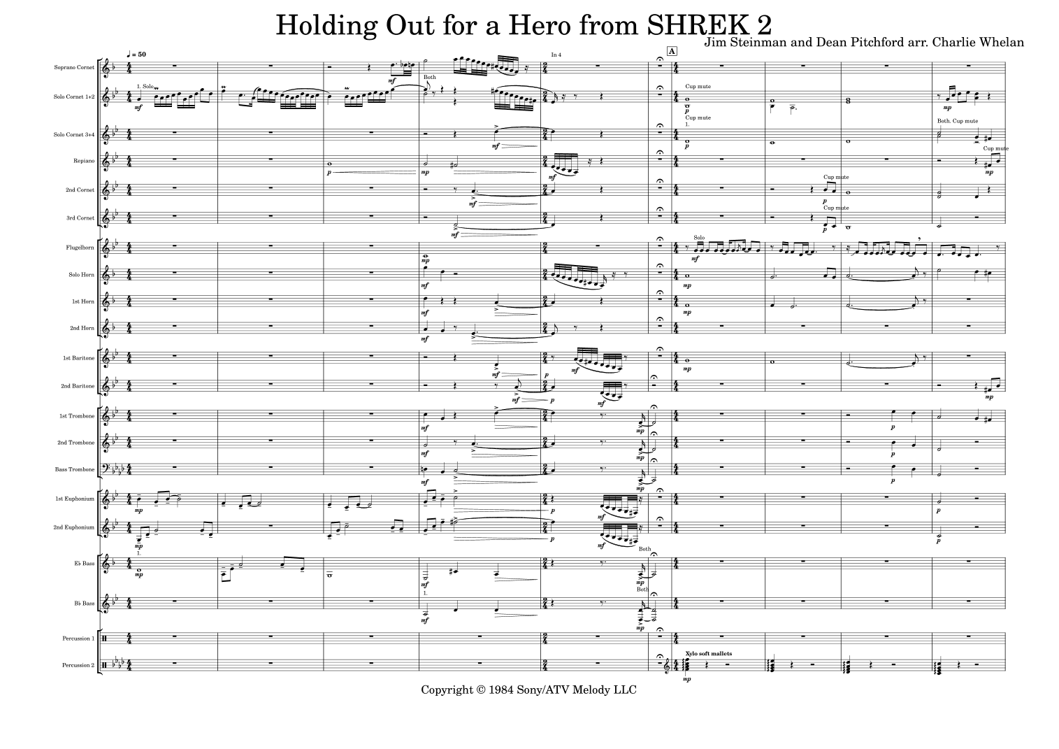 Holding Out For A Hero (arr. Charlie Whelan)