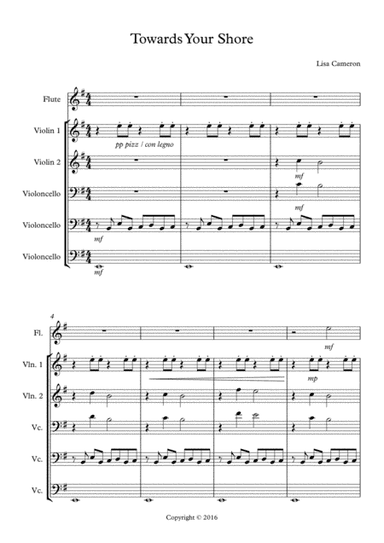Towards Your Shore - Mixed Ensemble