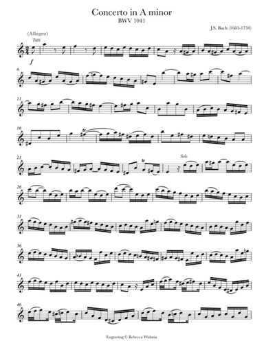 Violin Concerto in A Minor, BWV 1041 (arr. Rebecca Wishnia)