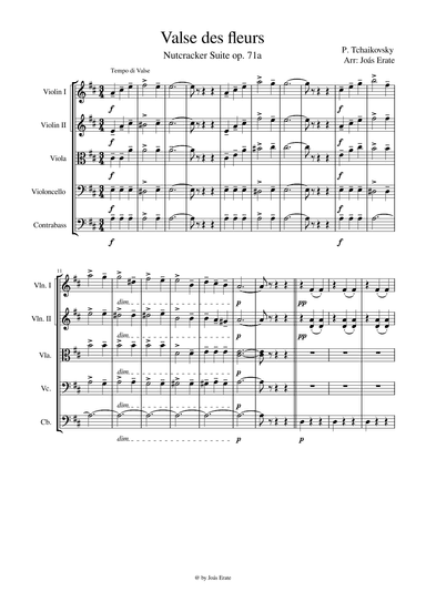 Valse des fleurs, Nutcracker Suite op.71a (arr. Joás Erate)