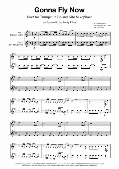 Gonna Fly Now (arr. Tim Curd)