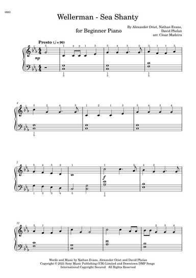 Wellerman (arr. César Madeira)