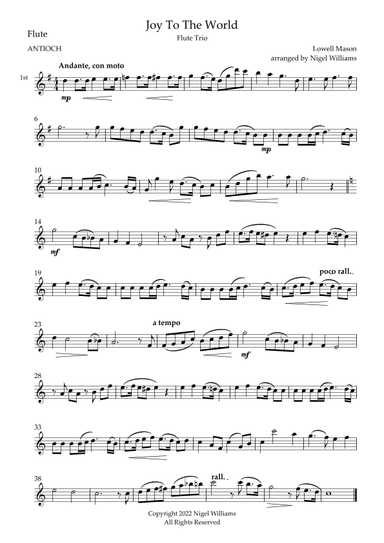 Joy to the World, for Flute Trio (arr. Nigel Williams)