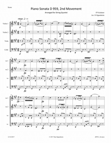 Schubert: Piano Sonata D 959, 2nd Movement arr. for String Quartet (arr. D Oppenheim)