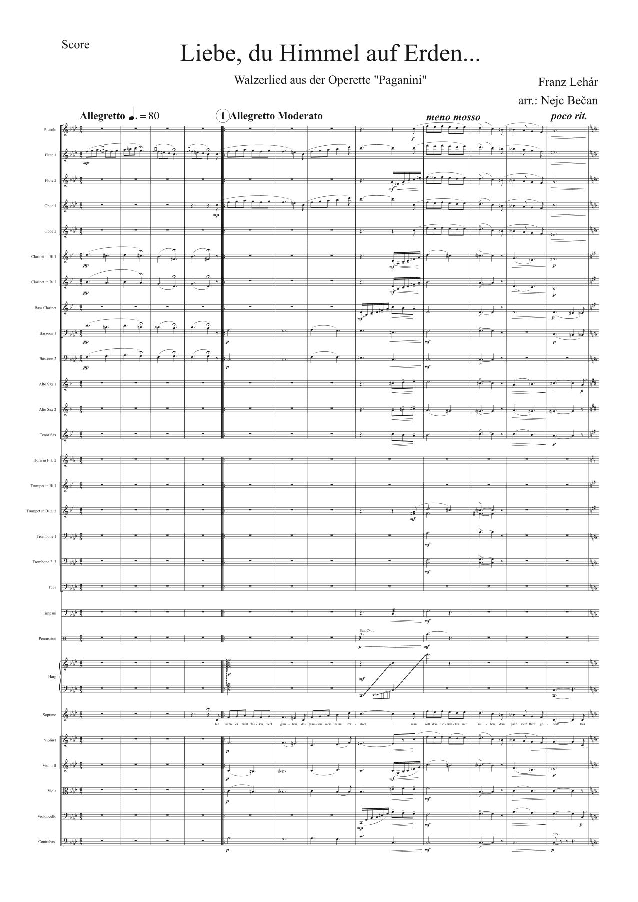 Liebe , du Himmel auf Erden (arr. Nejc Bečan)