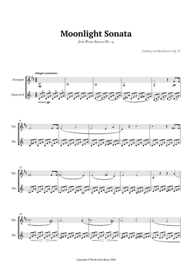 Moonlight Sonata by Beethoven for Trumpet and French Duet (arr. Ander)