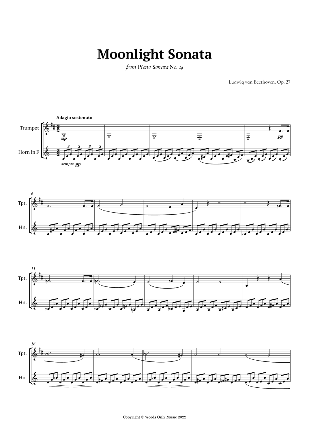 Moonlight Sonata by Beethoven for Trumpet and French Duet (arr. Ander)