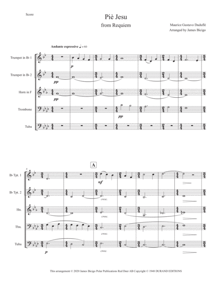 Pie Jesu (op 9) (arr. James Bicigo)