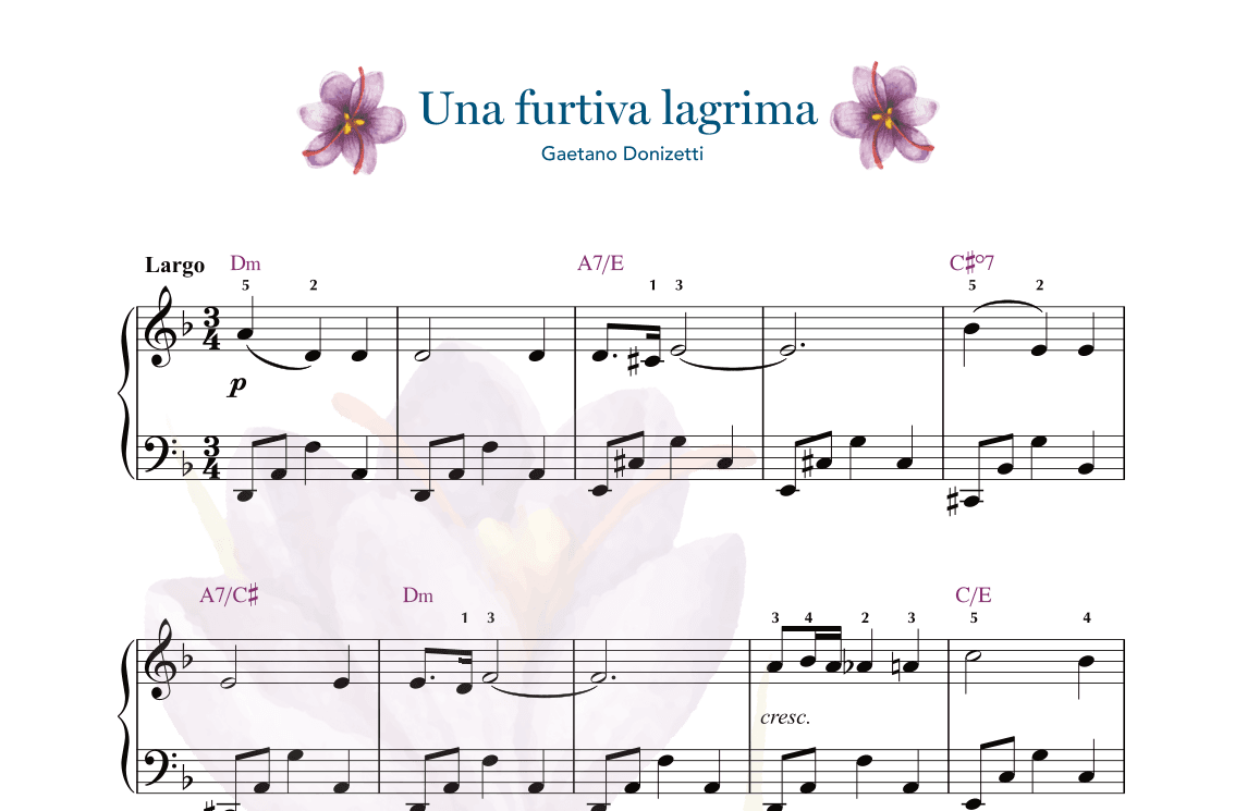 Una furtiva lagrima (from the Italian opera L'elisir d'amore) (arr. Gaili Schoen for UpperHandsPiano.com)