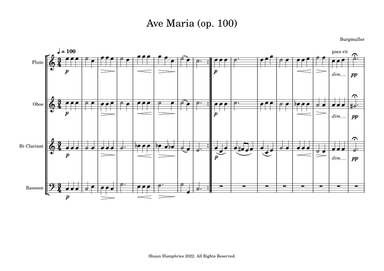 Ave Maria (Op.100) (arr. Shaun Humphries)