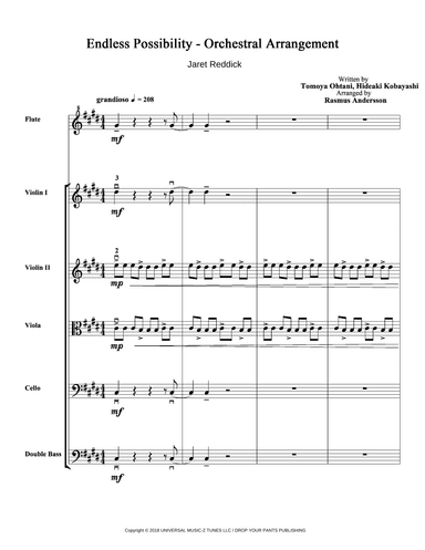 Endless Possibility (arr. Radikal Soda)