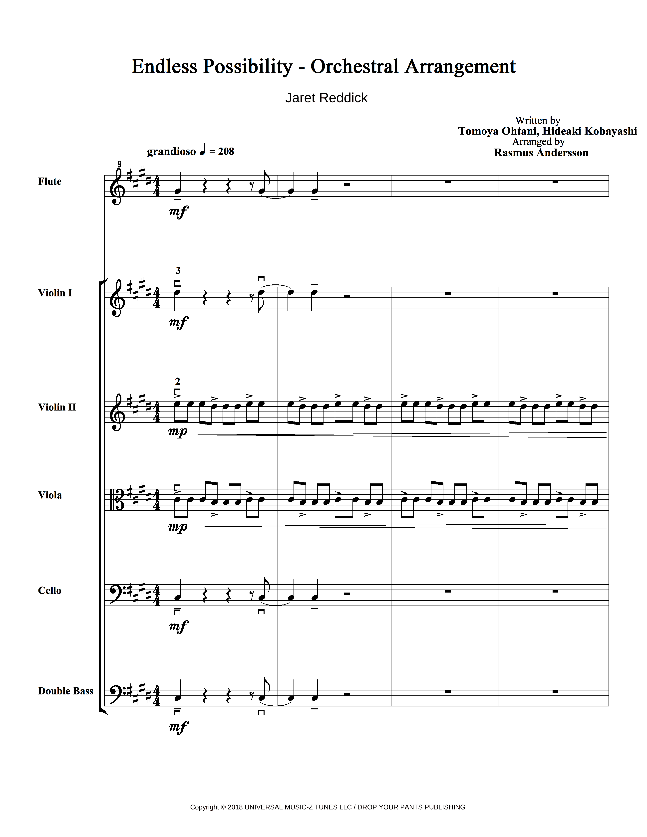 Endless Possibility (arr. Radikal Soda)