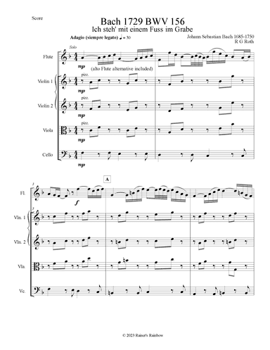 Bach 1729 BWV 156 Adagio for Solo Flute or Alto Flute Strings Parts and Score (arr. R G Roth)