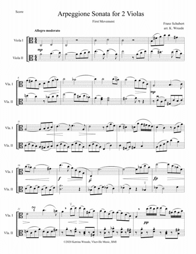 Arpeggione Sonata by Schubert (mvt 1) - for Viola Duet (arr. K. Wreede)
