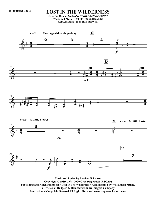Lost In The Wilderness (arr. Jeffrey Bowen)