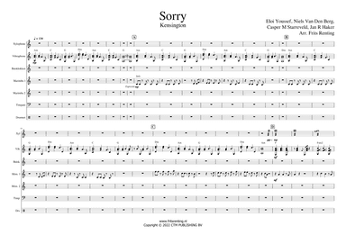Sorry - Unplugged/live (arr. Frits Renting)