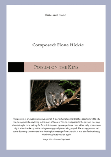 Possum on the Keys