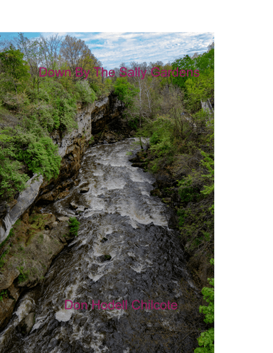 Down By The Sally Gardens (arr. Don Hodell Chilcote)