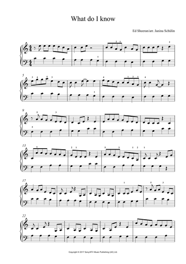 What Do I Know? (arr. Janina Schülin)