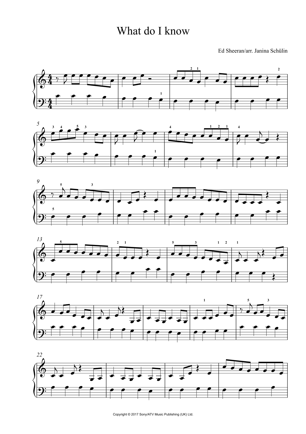 What Do I Know? (arr. Janina Schülin)