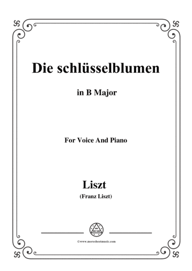 Liszt-Die schlüsselblumen in B Major,for Voice and Piano (arr. MSM)