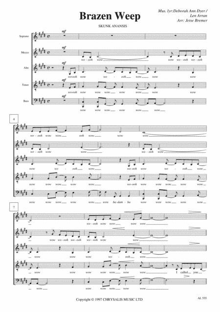 Brazen (weep) (arr. Jetse Bremer)