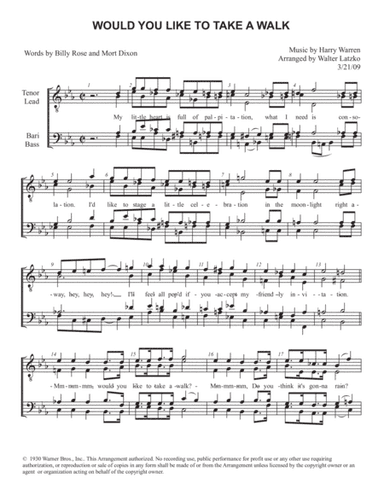 Would You Like To Take A Walk (arr. Walter Latzko)