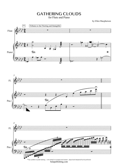 Gathering Clouds - Flute Solo
