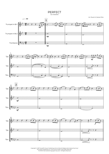 Hallelujah (arr. Paulo Galvao Filho)