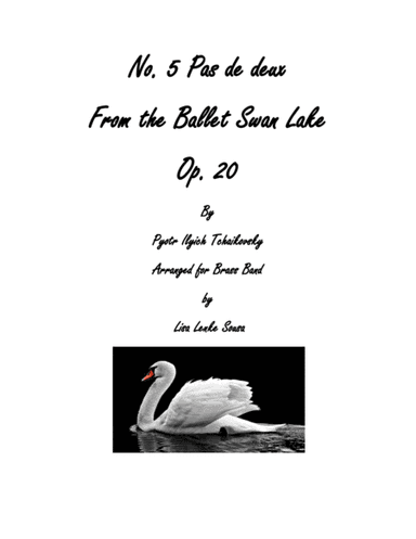 No. 5 Pas de deux From Act I from the Ballet Swan Lake Op. 20 (arr. Lisa Lenke Sousa)