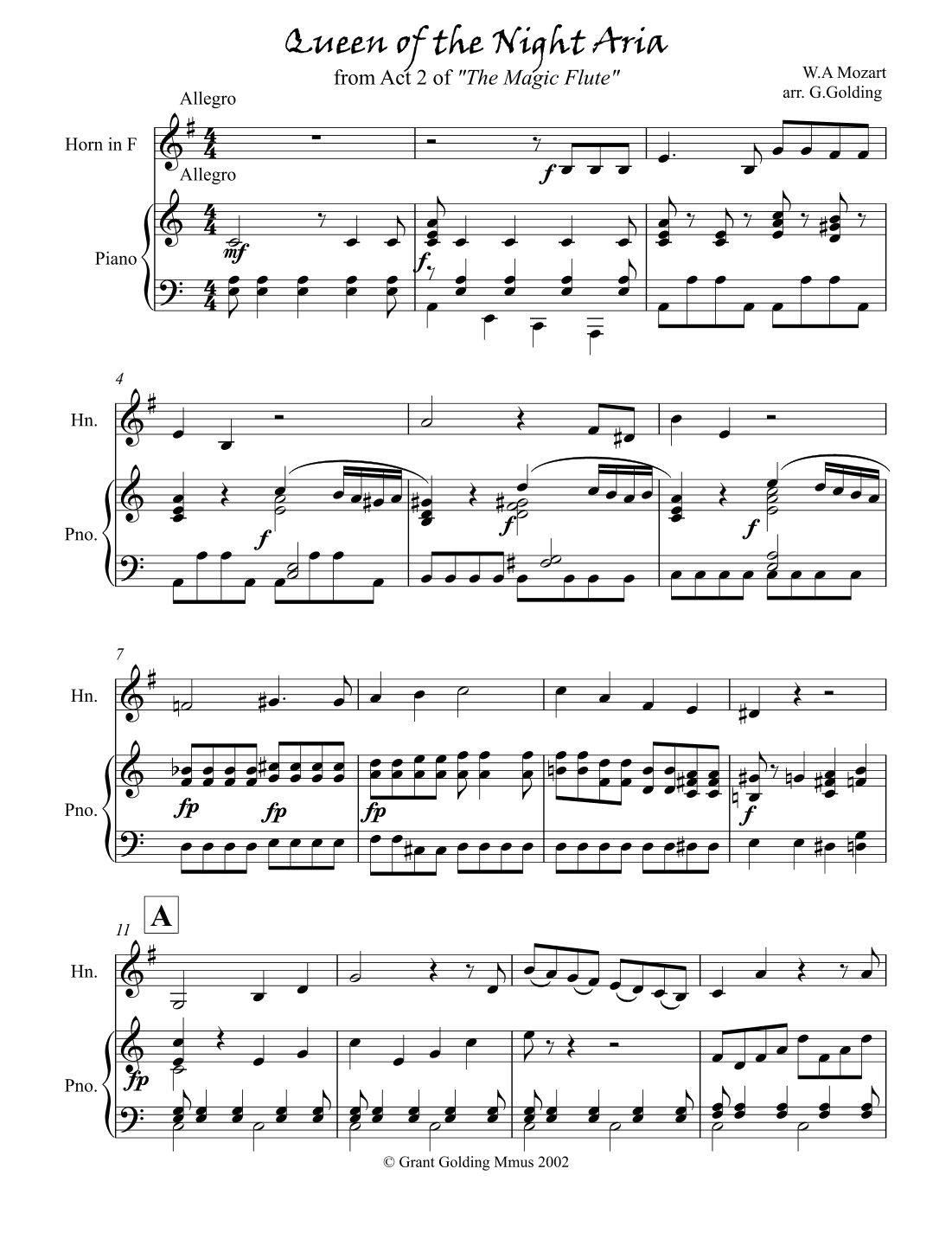 Queen of the Night Aria (arr. G.Golding)