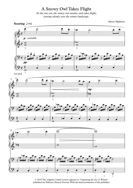 A Snowy Owl Takes Flight