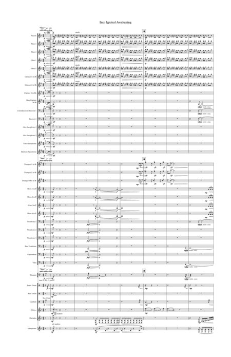 Into Ignited Awakening