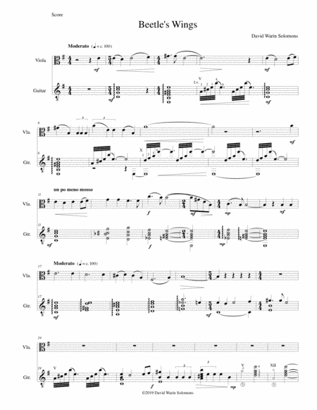 Beetle's Wings for viola and guitar
