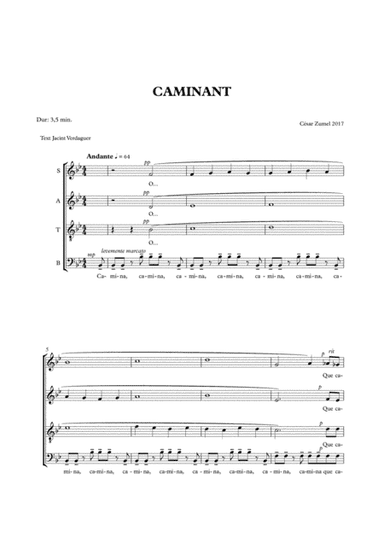 Caminant (walker)