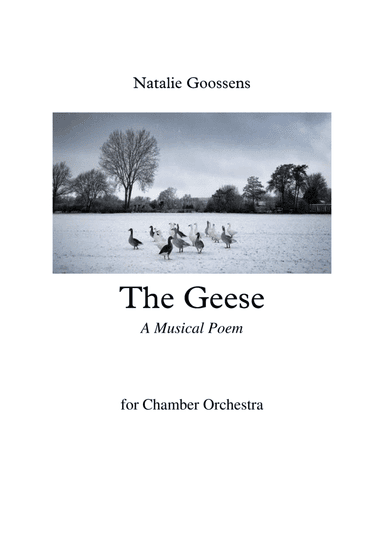 The Geese - A Musical Poem for Chamber Orchestra