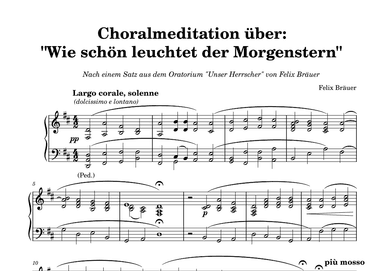 Choralmeditation über "Wie schön leuchtet der Morgenstern"