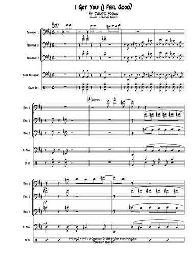 I Got You (i Feel Good) (arr. Santiago González)